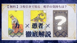 【 まとめ 】　相手の気持ち：力×愚者×20種類　３枚引き 